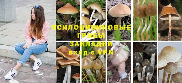 спиды Нязепетровск