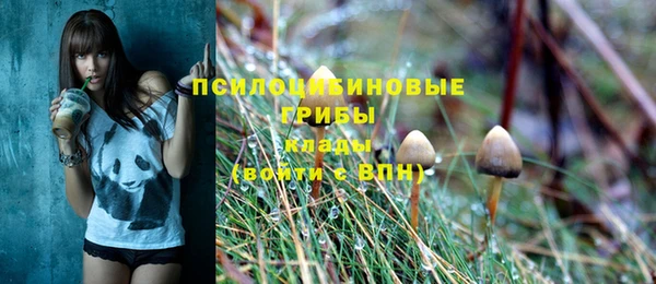 марки lsd Няндома