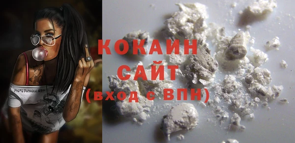 амф Новозыбков